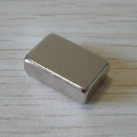 Relay Neodymium Magnet
